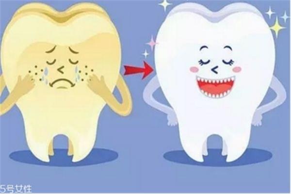 成年人多久洗一次牙?他們多久洗一次牙?