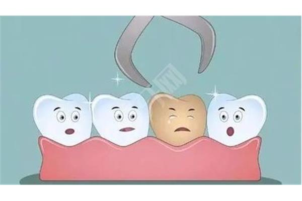 牙再植多久可以穩定,意向牙再植多久可以穩定?