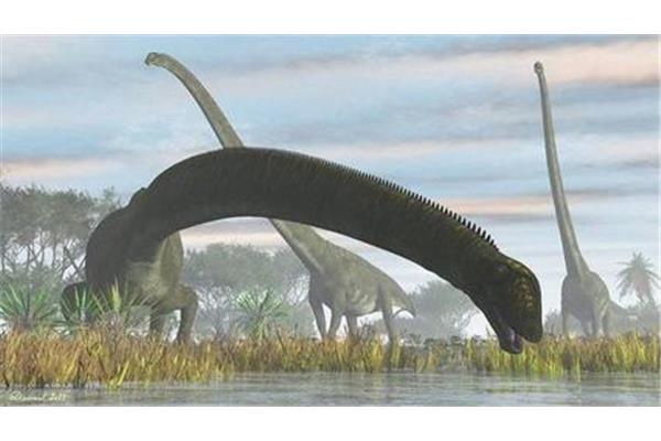 長脖子恐龍叫什么?叫大陸雙棘龍