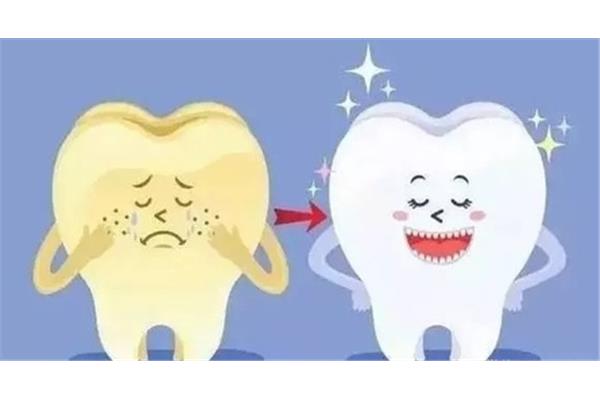 牙齒松動多久可以長好