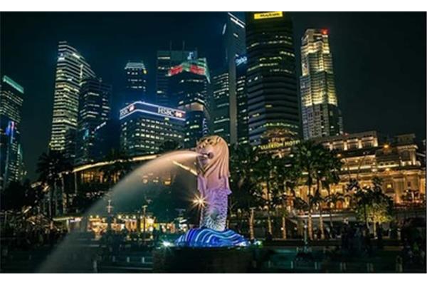 馬來西亞華人的比例是多少,新加坡需要多少錢?