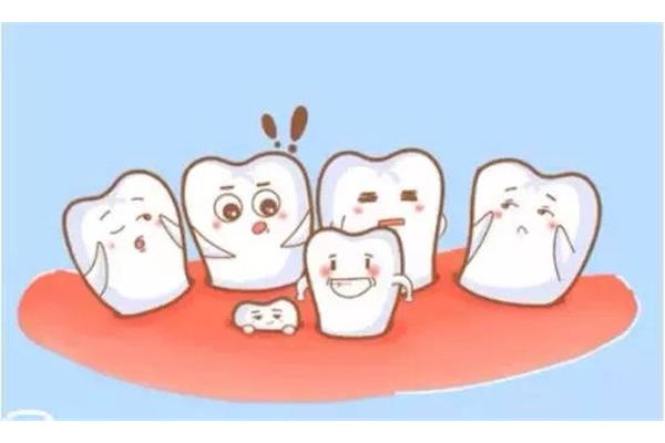 固定牙能有多久