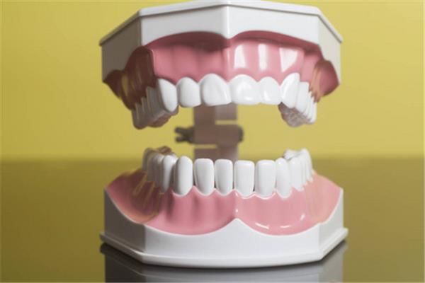 制作牙模型和種植牙模型需要多長時間?