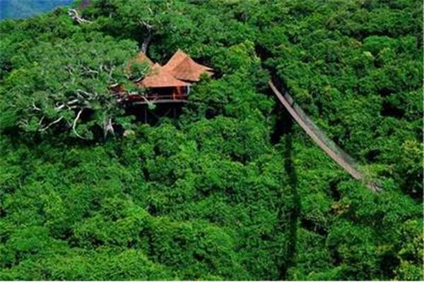 三亞熱帶天堂森林公園門票多少錢?