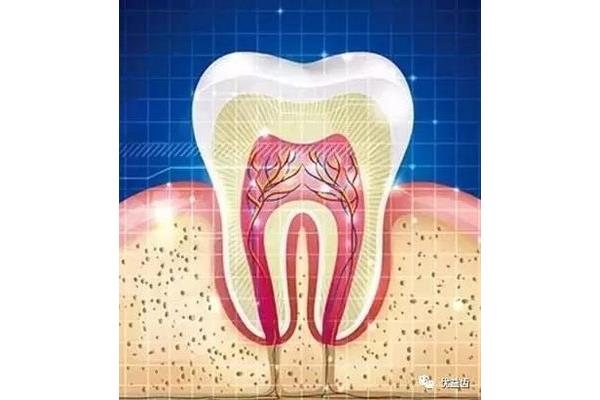 牙齒殺神經后多久補牙