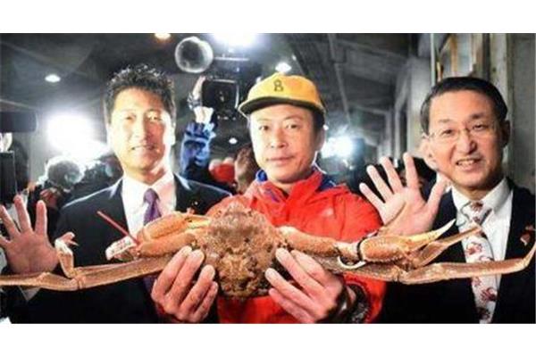 北海道美食排名第三名長腳蟹排隊十幾米