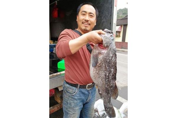 虎魚多少錢一斤,今天黑魚價格一斤