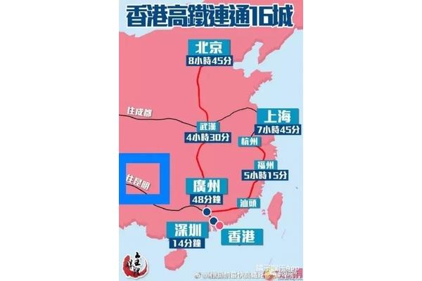 乘客可從深圳到上海有多種出行方式?