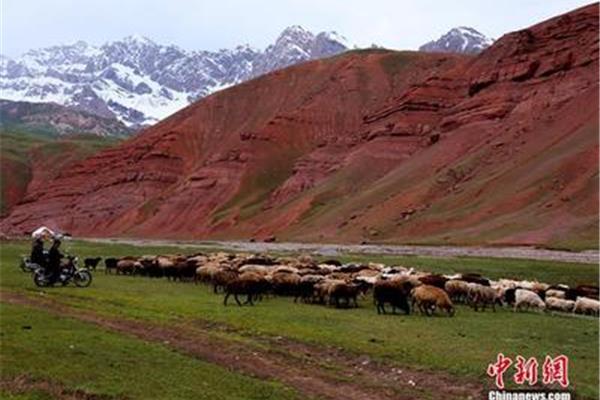 新疆海拔多少