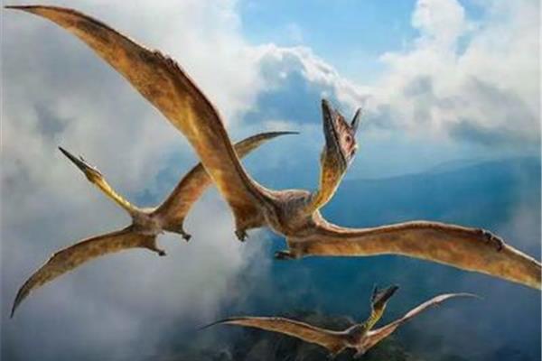 天上飛的恐龍和飛的恐龍叫什么名字?