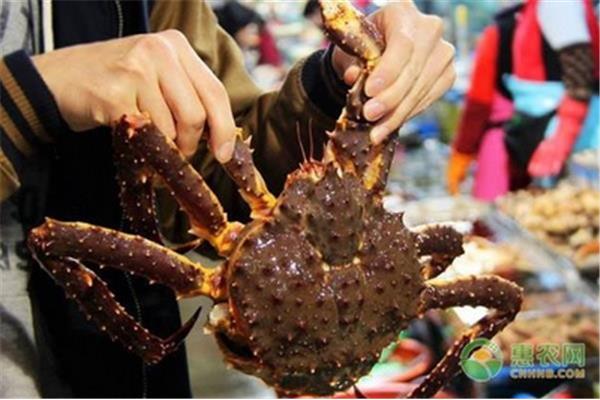 長腳蟹多少錢一斤