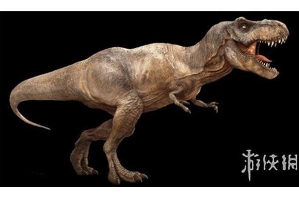 史上最長最重恐龍是易碎雙腔龍