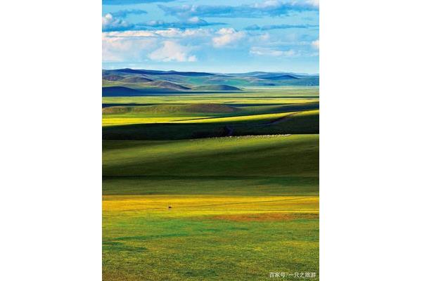 很大的草原是什么草原,內蒙古很大的草原是什么草原