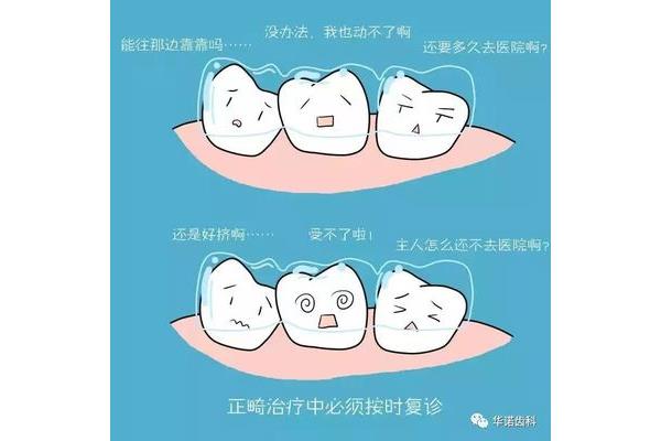 孩子的牙會掉多久,孩子的牙能拔多久?