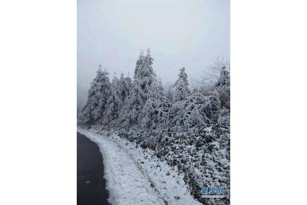 福州冬天的氣溫是多少?福清或漳州冬天冷嗎?