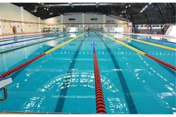 標準游泳池有多少米?游泳池的標準尺寸、長度和寬度是多少?