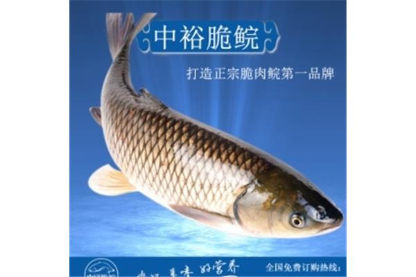 廣州脆皖魚多少錢一斤,中山脆皖魚多少錢一斤