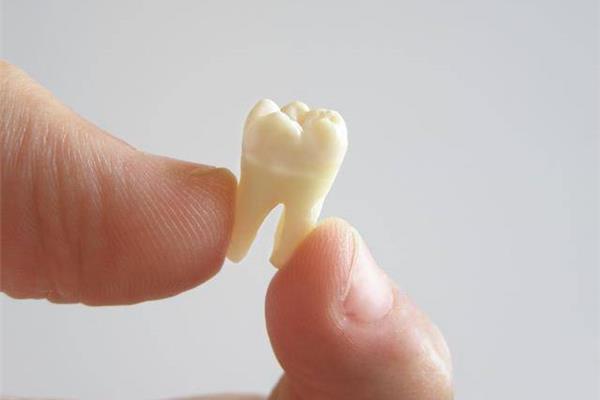 7歲孩子掉牙后多久能長出來,孩子掉牙后多久能長出來?