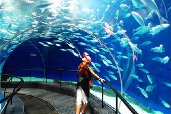 上海海洋水族館門票多少錢