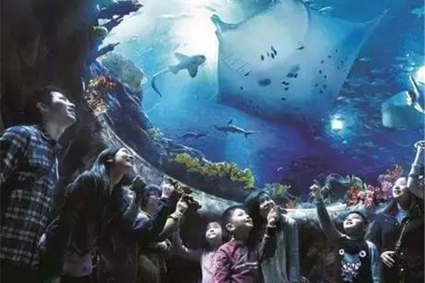 泰州海洋世界將各類海洋生物融入展示大型海洋館