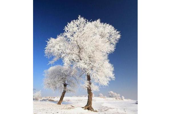 吉林冬天最低溫度多少