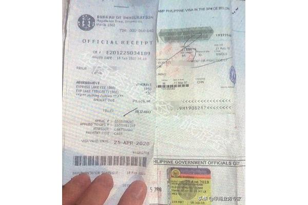 已處理出國簽證需要多少錢(馬來西亞出國簽證需要多少錢)