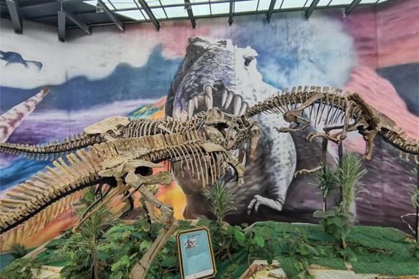 山東諸城恐龍博物館和濰坊諸城恐龍博物館門票多少錢?