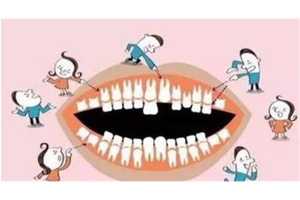 乳牙松動脫落需要多久,門牙愈合需要多久?