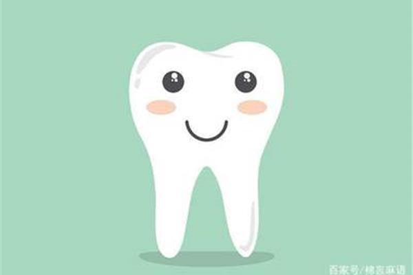 補一顆牙能保多久