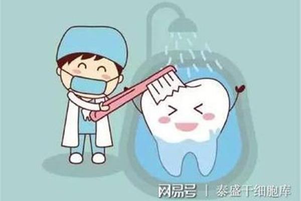 你多久洗一次牙?多久洗一次牙比較好?
