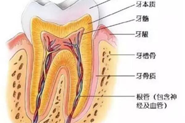 洗牙后多久可以治療牙周炎,牙周炎治療后多久可以吃東西?