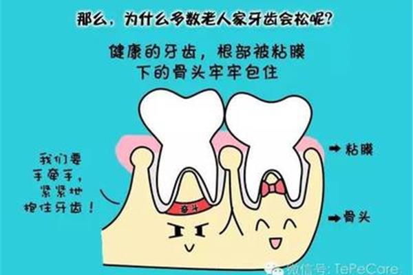 孩子牙齒松動要多久換一次牙?牙齒松動了怎么辦?