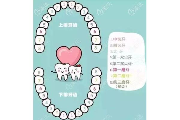 根管治療牙齒多久能要小孩
