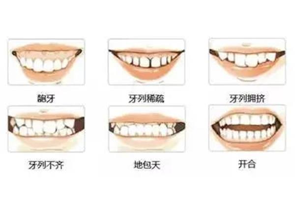 正常牙齿可以用多久