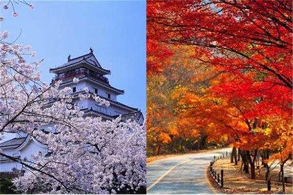 去韓國旅游有什么好玩的景點?去韓國旅游最好的月份是哪個月?