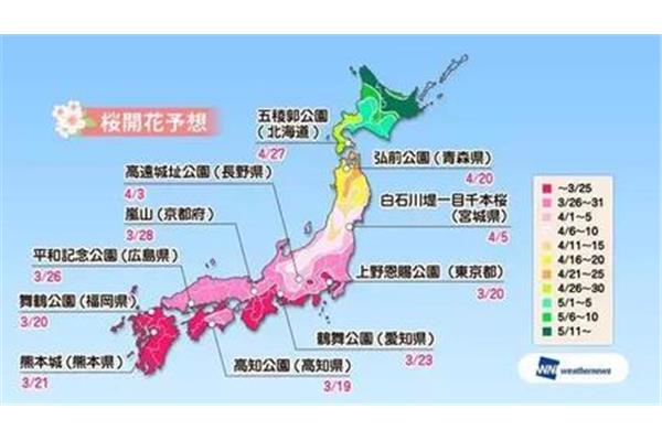 2021年日本賞櫻地圖和2018年日本賞櫻路線