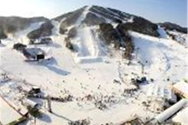 韓國旅游景點自由行?冬季如何去韓國旅游?