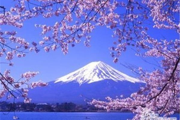 日本跟團游記,日本跟團旅游報價