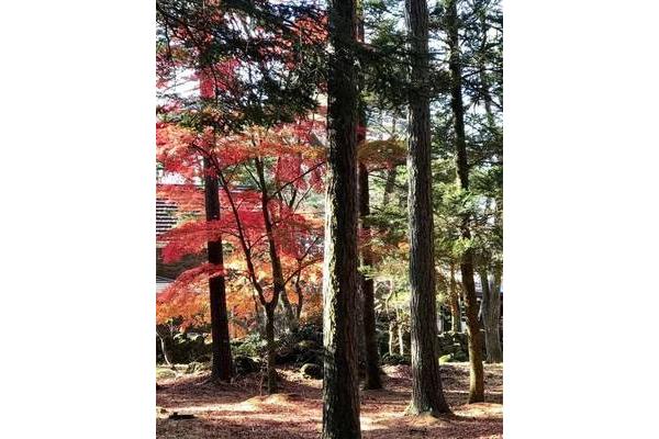 日本輕井澤的景點,日本溫泉酒店推薦