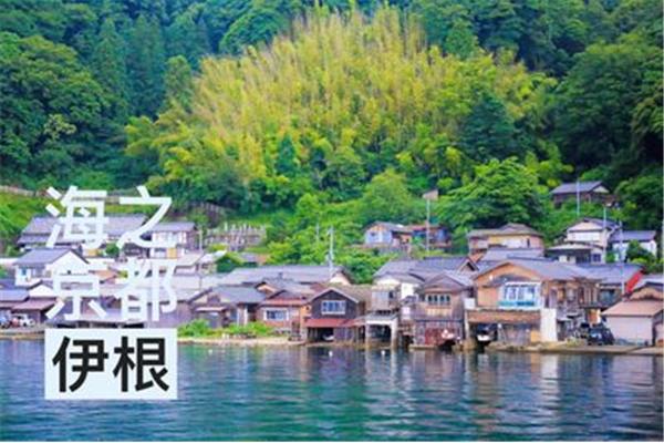 日本伊根漁村,魔獸世界懷舊服伊根在哪里?