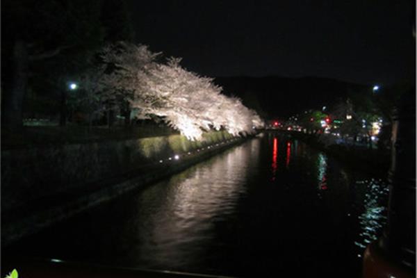 京都5天4夜