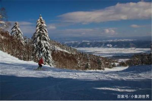 日本北海道景點富良野冬天玩什么?特色?