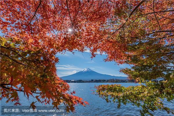 7月份去日本北海道景點有什么?北海道必游8景