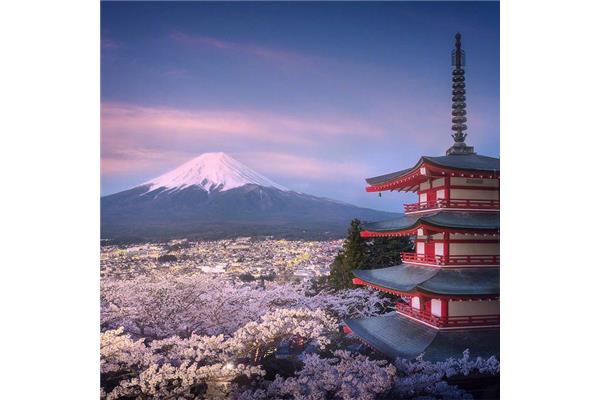 日本的櫻花什么時候開花?,國外最美的賞櫻地