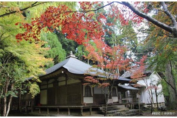 在日本京都,哪個月去京都旅游最好?