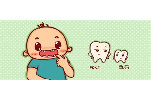 恒牙換牙時間(貓咪換牙需要幾個月)