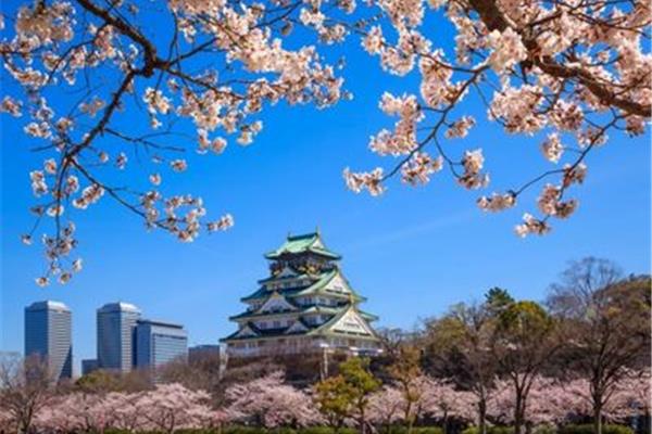 三月份日本有哪些好玩的地方可以去??(三月初的櫻花有哪些?)