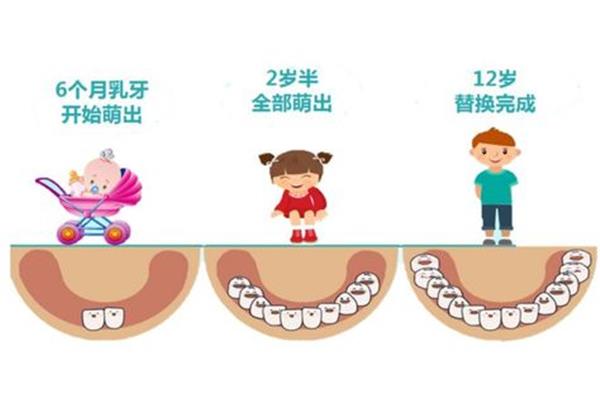 孩子的牙齒發生變化(小牙齒正常生長需要多久)
