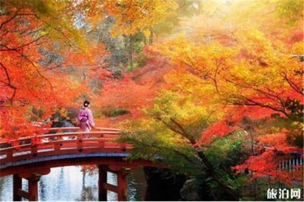 日本京都的一個楓景區,日本京都賞楓葉的必去之地