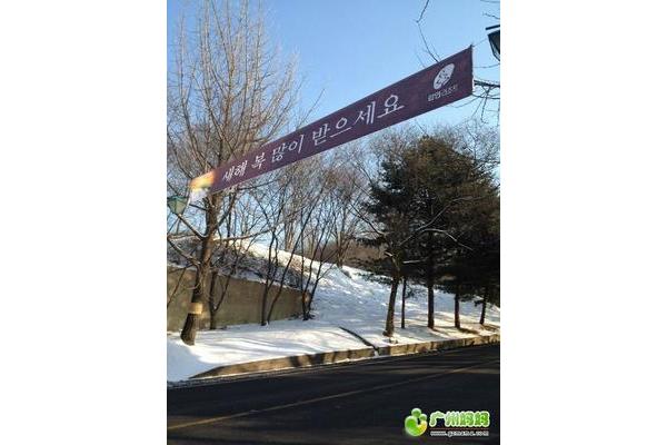 韓國釜山滑雪